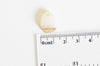 perle goutte bois résine blanche, bois naturel,perle bois, Perle géométrique,perle goutte,création bijoux bois,17.5mm, les 5 G1803