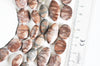 perlesjaspe sésame zébré,jaspe marron,perle zebra ovale,fourniture créative, perles pierres, perles jaspe, jaspe naturel, lot de 5 G4896