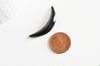 Lune corne noire naturelle, septum, fourniture oreille percée, pendentif lune, corne naturelle, création bijoux, largeur 8mm G3529