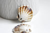 pendentif porcelaine beige coquillage, perle céramique géométrique pour fabrication bijoux en céramique blanche, Lot de 5, 30mm,G3310