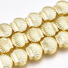 Perle hématite dorée coquillage, perle hématite non magnétique pour pierre,création bijoux,8x9mm,le fil de 50 perles G4424