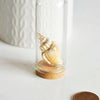 Mini cloche en verre et support en liège, bouteille verre,cloche verre, présentoir, création bijoux, 71.5mm, l'unité, G1890-Gingerlily Perles