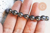 perle naturelle noire ovale 8-10mm, perle percée,perle de culture, création bijoux,perle eau douce, le fil de 15 perles G6285