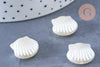 Perle coquillage plastique blanc nacré 14.5mm , perle plastique blanc nacré,lot de 10 perles G6433