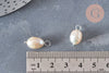 Pendentif perle naturelle de culture coquillage argenté-16-17mm,porte bonheur,perle eau douce,perle naturelle blanche, l'unité G6802