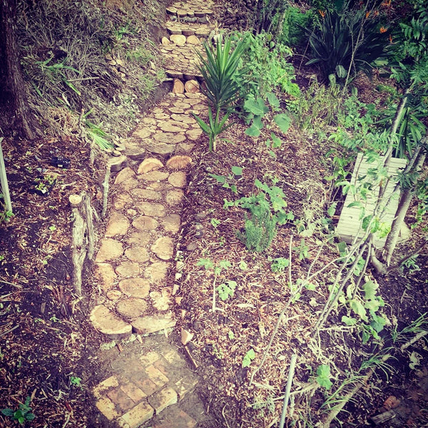 wooden path through Forest Garden