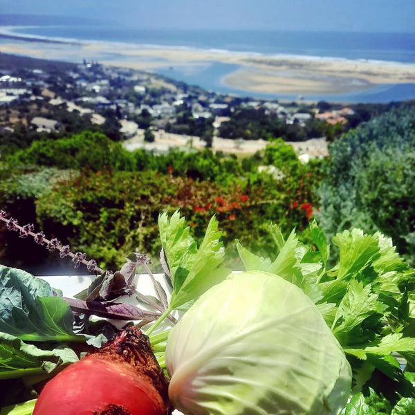 Homegrown Food in Plettenberg Bay