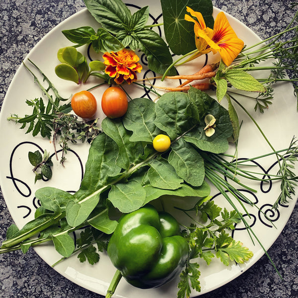 Harvest Plate of homegrown food