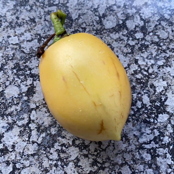 Pepino Melon