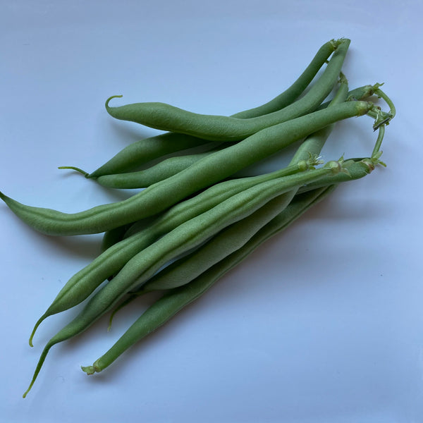 homegrown beans