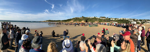 Penguin Release on Lookout Beach In Plettenberg Bay