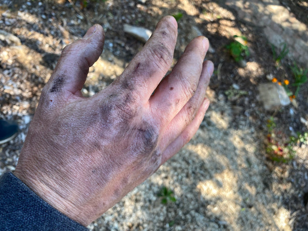 Hand of a Gardener