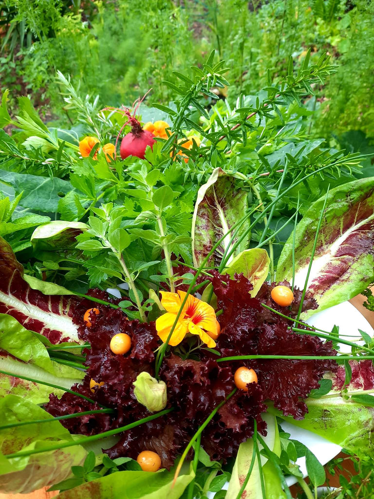 Homegrown Food in South Africa