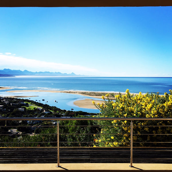 Plettenberg Bay in June with flowering Acacia