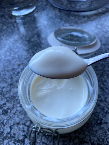 Homemade Yoghurt