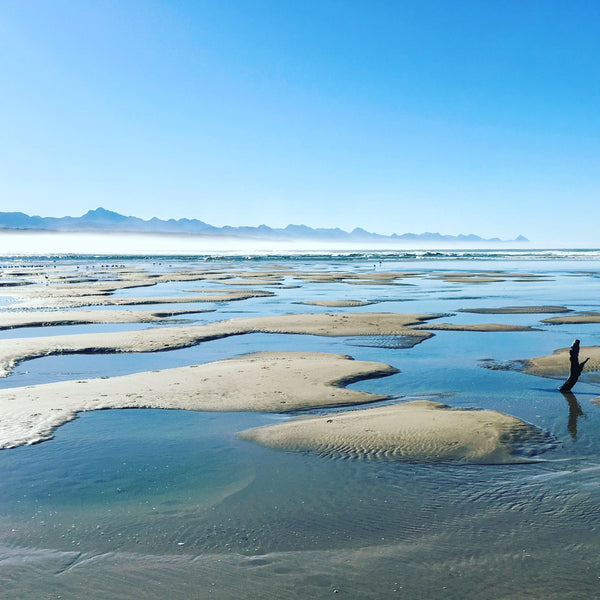 Pansyshell bank and Rivermouth in Plettenberg Bay