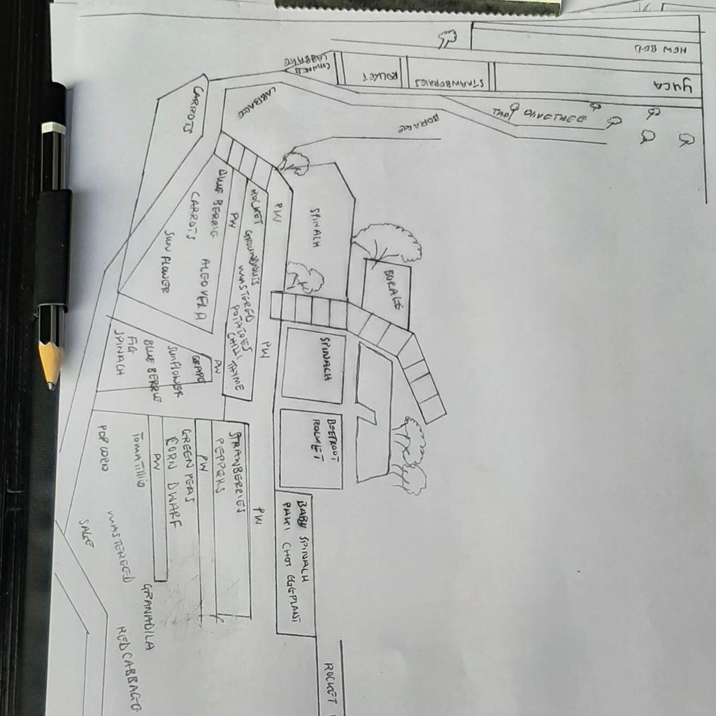 Food Forest Plan