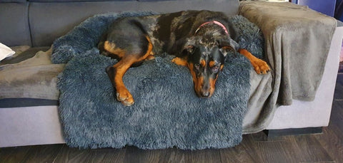 Furry Life Pals Komfortmatte, Anti-Angst-Möbelbezug, entspannender brauner Hund