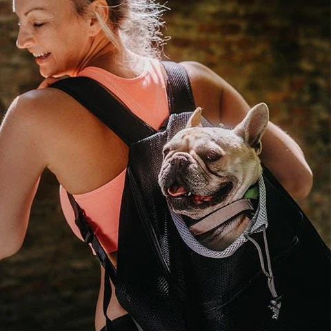 Petpals carrier bag for dogs sports woman and black pug