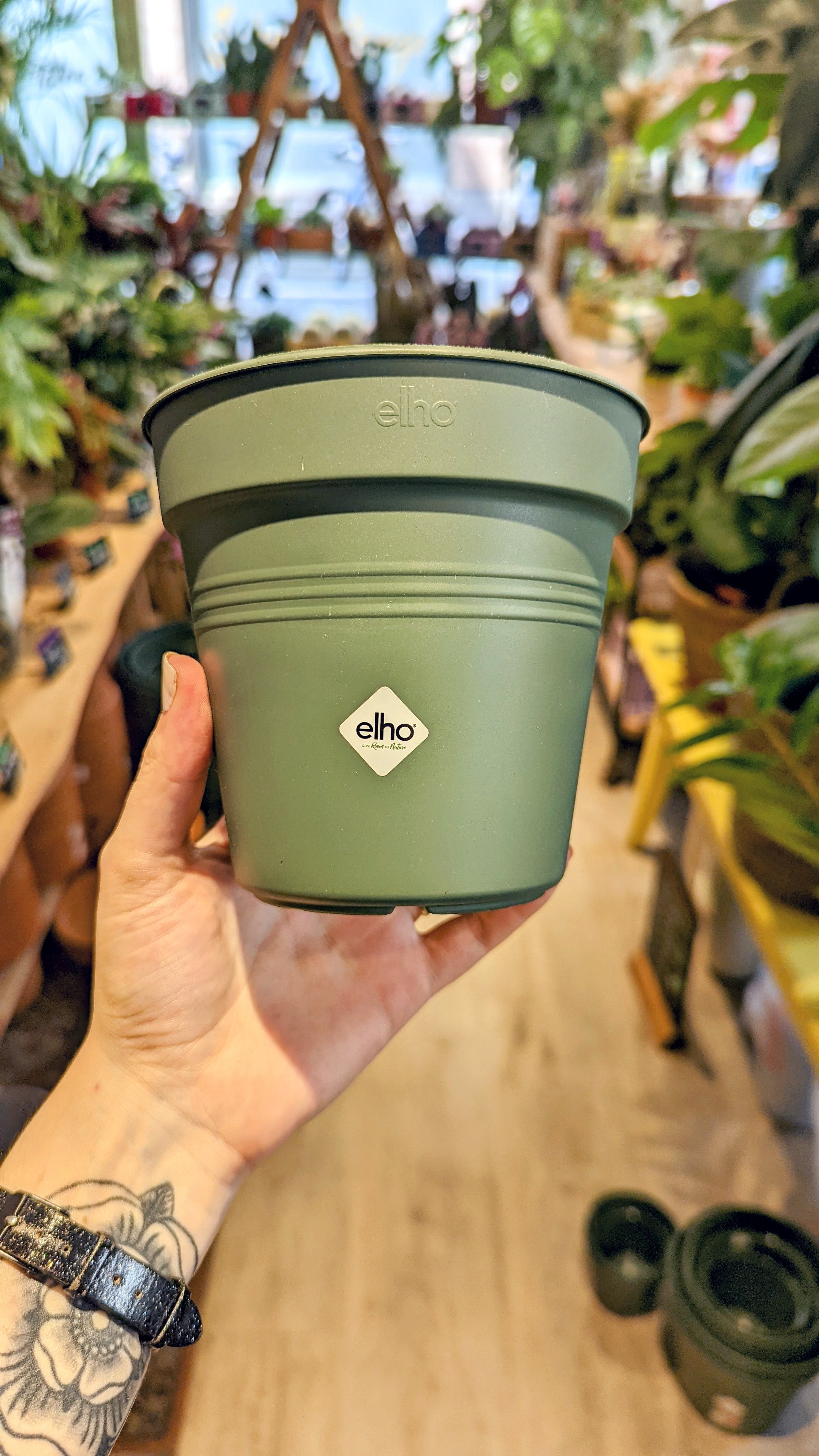 elho Pot pour Orchidée GREEN BASICS - Transparent - Bloomling France