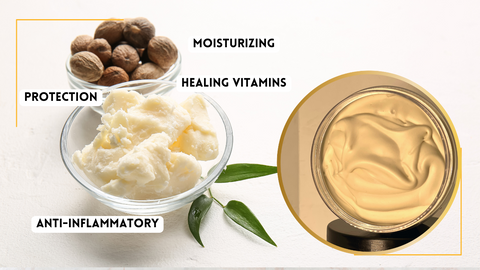 shea butter_greenbody wellness