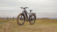 mid drive fat bike