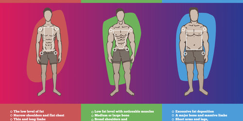 Beginner S Guide To Body Types Ectomorph Mesomorph And Endomorph Gaspari Nutrition