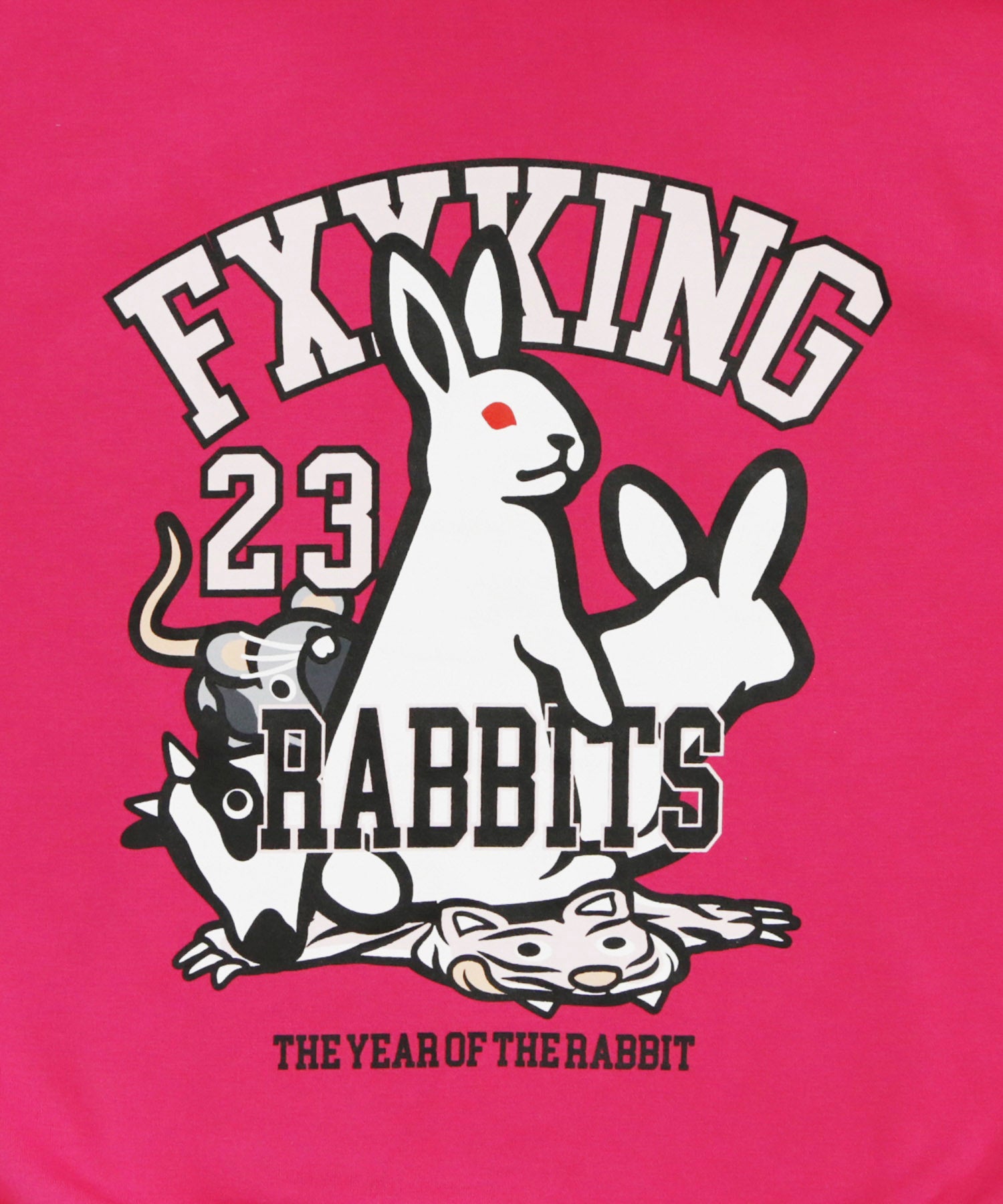 FR2梅 Rabbit Year Hoodie-