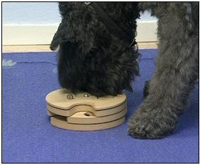 dog interactive puzzle and treats