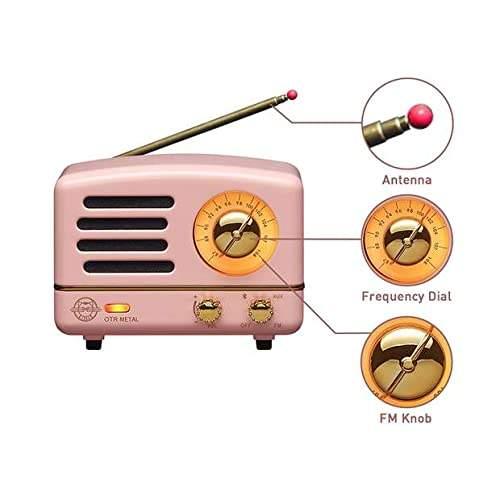 Retro Bluetooth Speaker, Muzen OTR Metal Vintage FM/AUX Radio with Old –  wallaby wellness