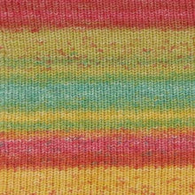 Load image into Gallery viewer, Jo&#39;s Yarn Garden wool sock yarn

