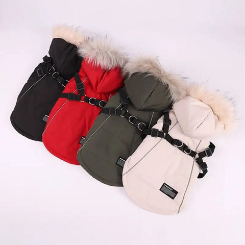 Winter Dog Jacket