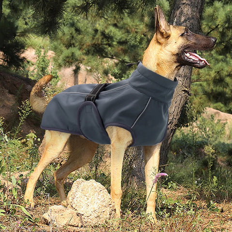 veste pour grand chien