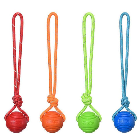 Dog ball on rope