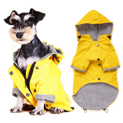 dog raincoat