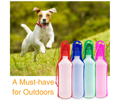 Pet water bottle