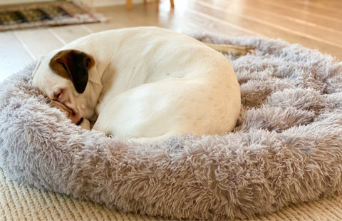 Calming Dog Bed - The Happy Paw Store