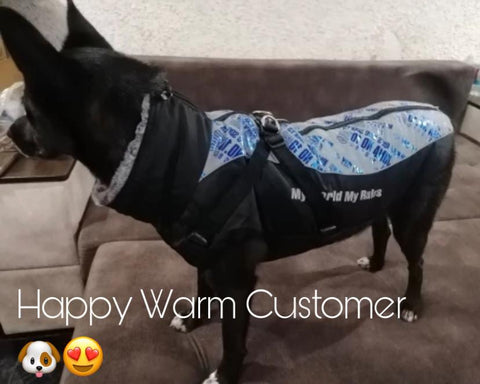 Waterproof Dog Jacket with Harness