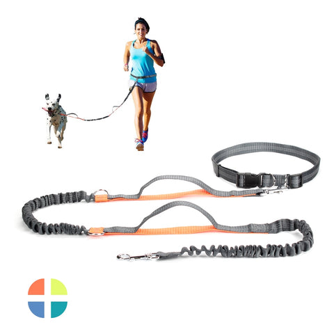 Hands Free Dog Leash For Running