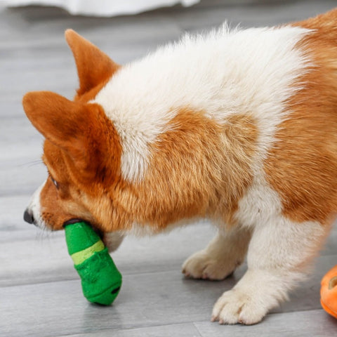 Dog snuffle toy