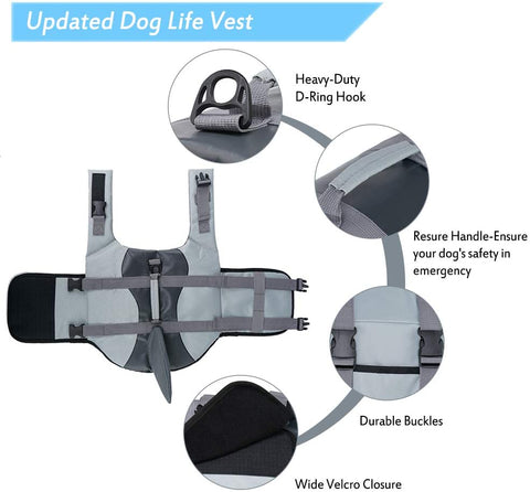 dog life jacket