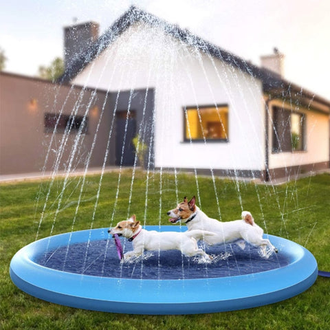 dog water fountain