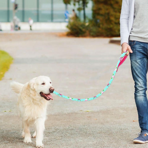 Laisse pour chien imprimée en nylon