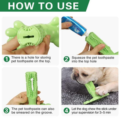 Nettoyant pour dents de chien