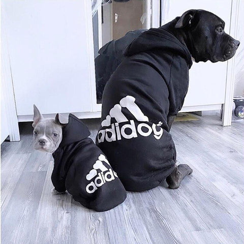 Sweat à capuche pour chien