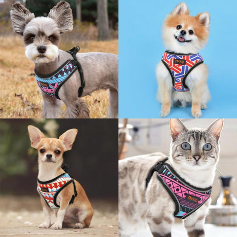 small dog harness