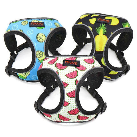 Nylon Dog Harness