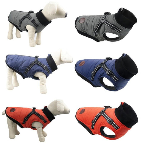 gilet imperméable pour chien avec harnais