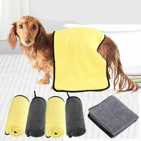 serviette pour chien