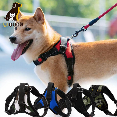 Dog Harness with Handle